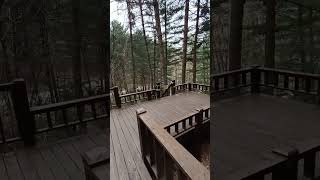 산음자연휴양림, 시그니처 잣나무 데크길_0412 #산음자연휴양림 #잣나무 #데크길 #잣 #청솔모