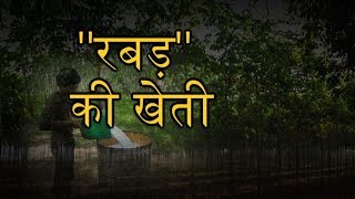 किसान कर सकते है Rubber Farming | रबर की खेती एक अच्छा विकल्प