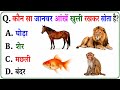 GK Question || GK In Hindi || GK Question and Answer || GK Quiz || Quiz Spy