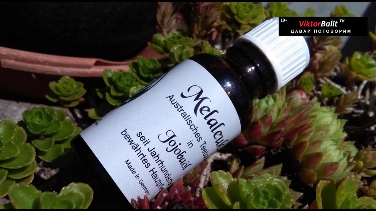 MELALEUKA IN JOJOBAÖL. МЕЛАЛОЙКА - ПАЛОЧКА ВЫРУЧАЛОЧКА - YouTube
