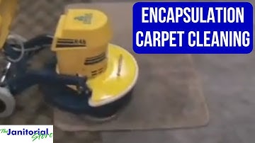 Encapsulation Carpet Cleaning
