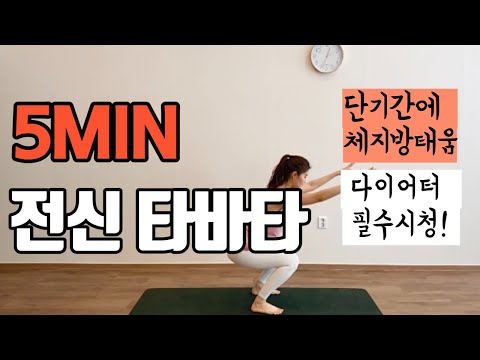 살빠지는 전신 다이어트 타바타5분 (5MIN TABATA FULL BODY)