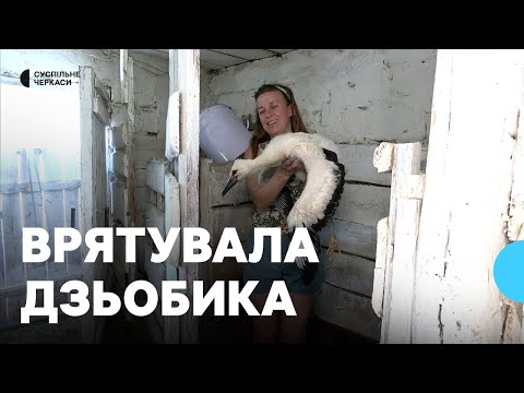 Мріє, щоб полетів в Африку: жителька Білозірʼя у власному сараї прихистила лелеченя