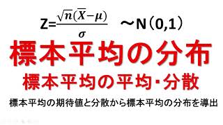 標本平均の平均　標本平均の分散　標本平均の分布について解説！【統計検定1・2級】【推測統計学ー標本分布③】