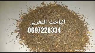 نبات الخلة الشيطاني لعلاج الربو و البهاق والصدفية . والقلق  والبرستاتا .وحصوات الكلي