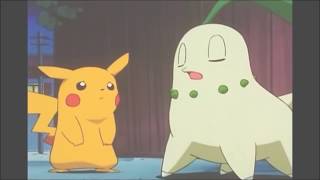 Pokemon Amv Ashs Chikorita - Secret Combination