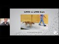 Spinal Cord Disease Beyond IVDD || Webinar Series Lecture # 1