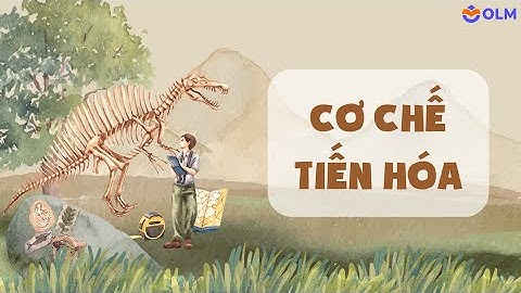 Cơ chế tiến hoá (phần 1) - Khoa học tự nhiên 9