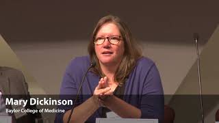 Defining Precise: Translation and Human Relevance of Current Animal Models (Panel 2) Q&A