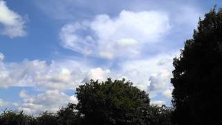 DSCF0103