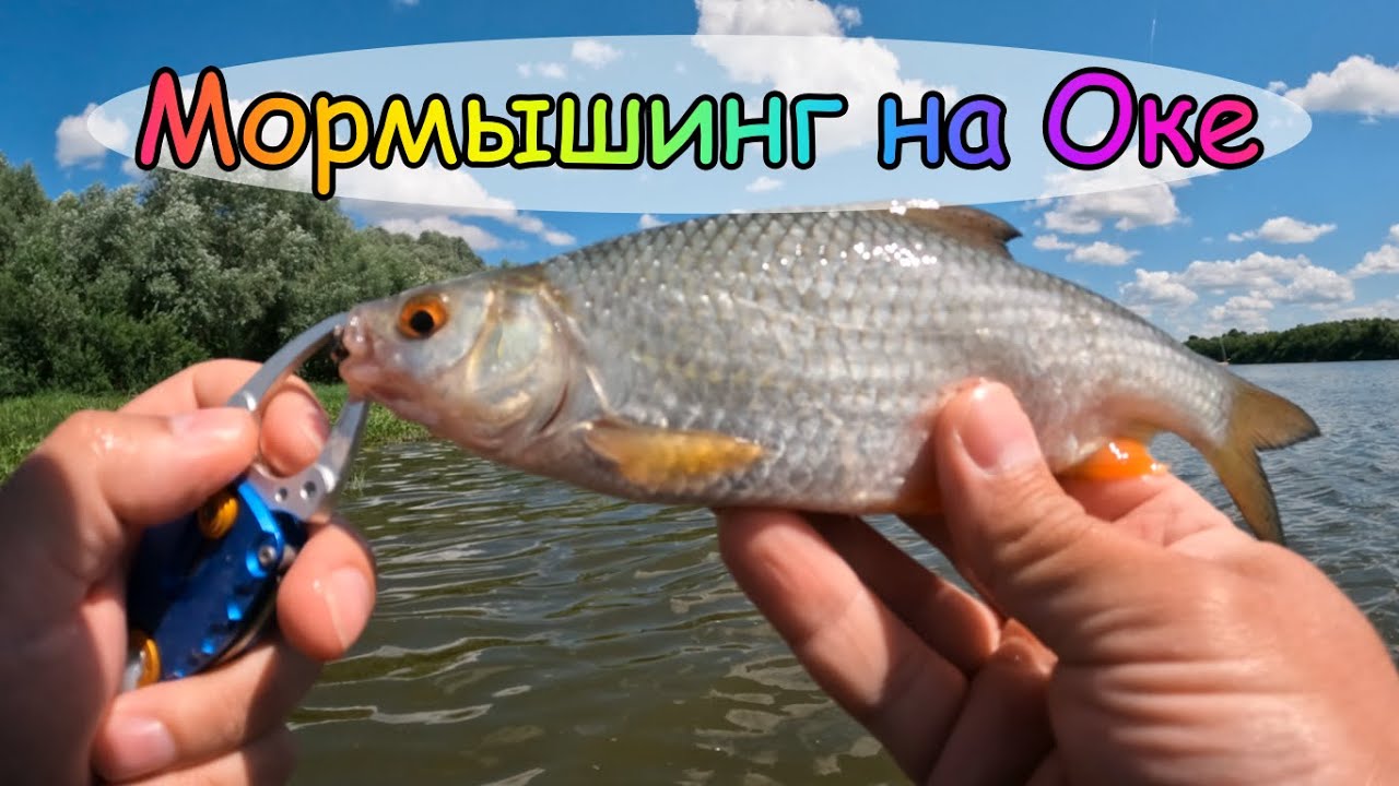 Мормышинг на оке Мормышинг на оке
