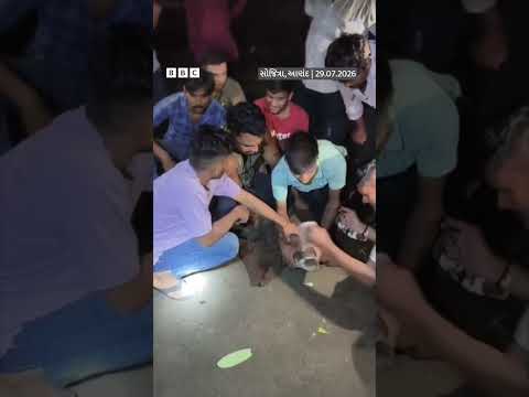Gujarat: મગર ઘરના બાથરૂમમાં પેસી ગયો, કેવી રીતે રૅસ્ક્યૂ કરાયો