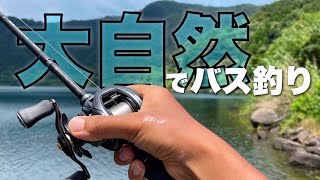 見えバスだらけの広大な湖で、のんびりバス釣り。【ハニーナゲット】