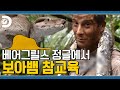 🤴어린 왕자 : 이 그림 뭔지 알아? 😉구독자 : 이불 속에서 디코 유튜브 보는 모습~! [Man VS Wild]