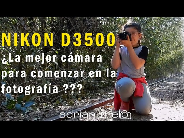 Adiós a las Nikon D3500 y D5600: descatalogadas las dos populares gamas de  réflex