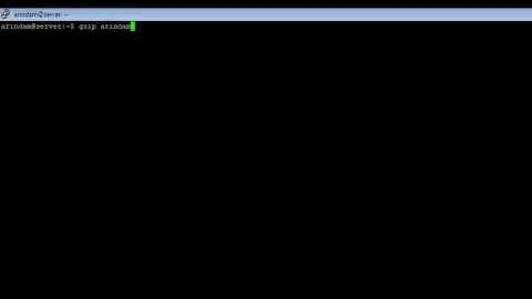 Linux - gzip Command - w3resource