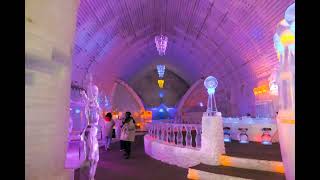 Stay Cool at the Aurora Ice Museum