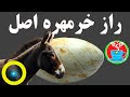 راز فاش شد خرمهره اصل
