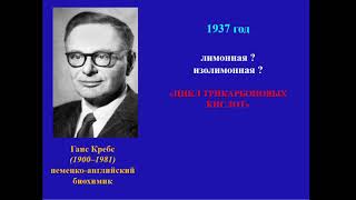 12:00  Аэробное окисление глюкозы ЦТК