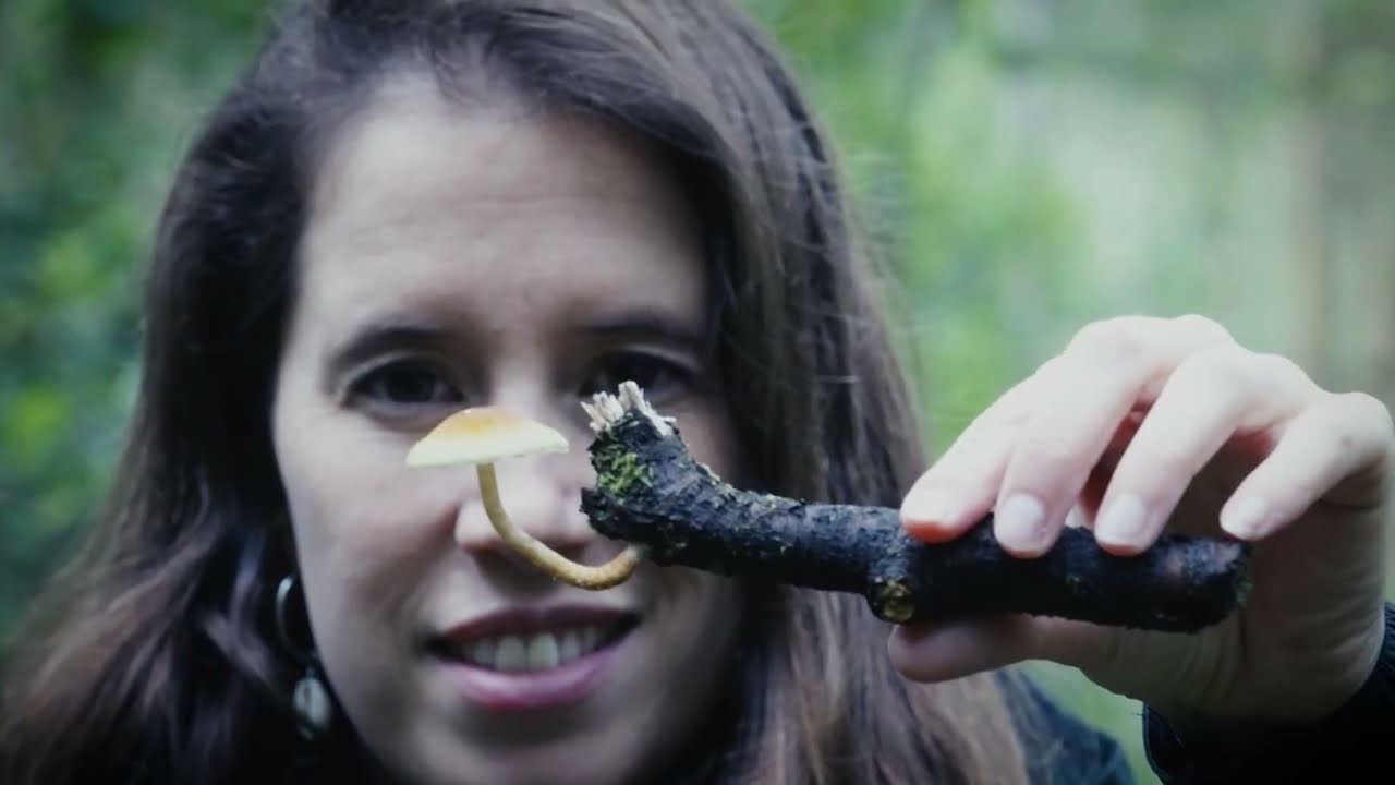 Sobre la Tierra T1 - Capítulo 3: Cote de la Fuente y Leo Prieto en Parque Futangue