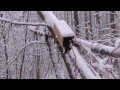 Trapping Inc Ep4 S1 AIHTS trapping marten and fisher