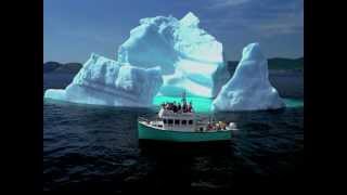 Icebergs off the coast of Newfoundland