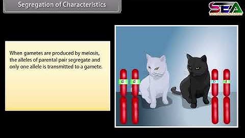 Principles of Inheritance & Variation Part 1 | Class 12 Biology | animated video ncert