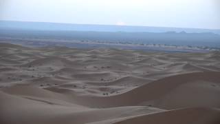Alone In Desert - The Diner