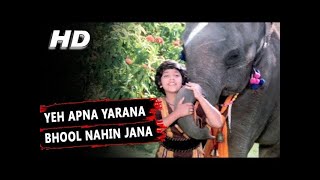 Ye Apna Yarana-Anjal.mp4