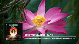 Tập 2 – Phẩm 12 K.Thế Gian – K.Phước – K Tức Chỉ Đạo – K Chí Biên – K Dụ 
