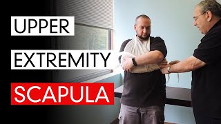 Upper Extremity - Scapula
