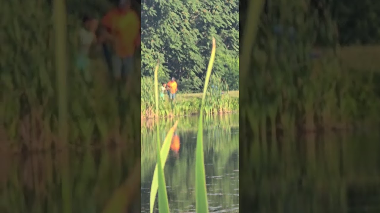#bassfishing