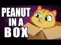 PEANUT IN A BOX - Fanmail Unboxing #5