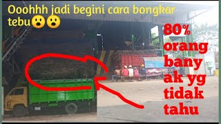 🔴BERBAHAYAKAH??😮 CARA BONGKAR MUATAN TEBU
