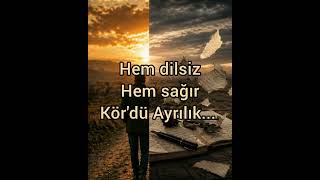 Ayrılık - Bay Seslendirme Üzik Üzün Ilık M. Usta Şiirleri