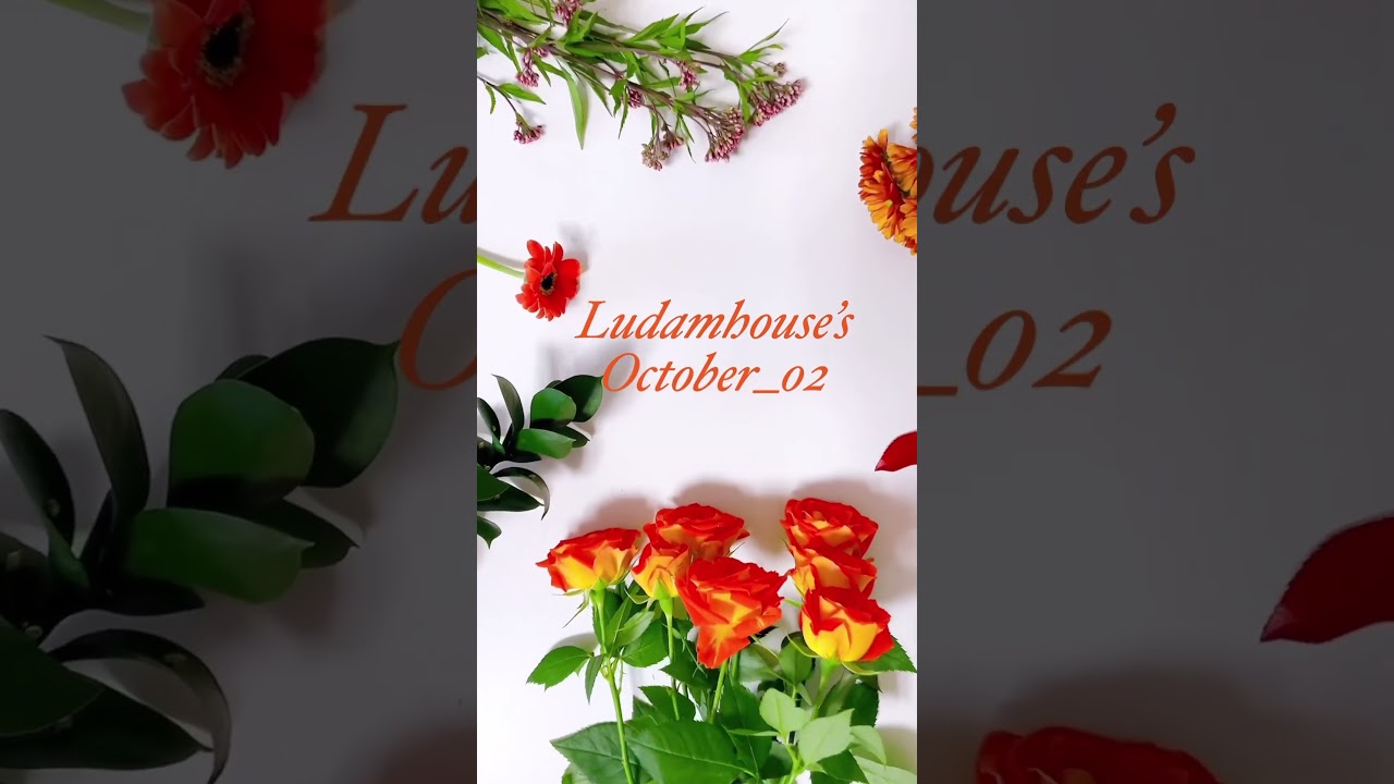 가을선물 가을꽃다발 홍가시 루스카스 거베라 소국 등골나무 미니장미 #bouquet #꽃다발 #루담하우스 #flower #꽃 #꽃배송 #생화 #꽃선물 #생화꽃다발 #화병