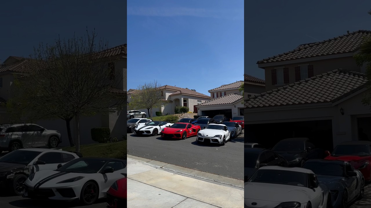 Fast and Furious Vibes 