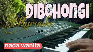 Download Lagu karaoke - Dibohongi - nada wanita MP3
