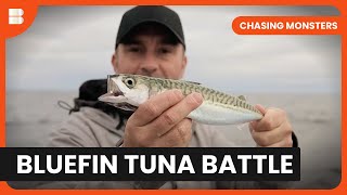 Monster Tuna Fight - Chasing Monsters - S02 EP11 - Nature & Adventure Documentary