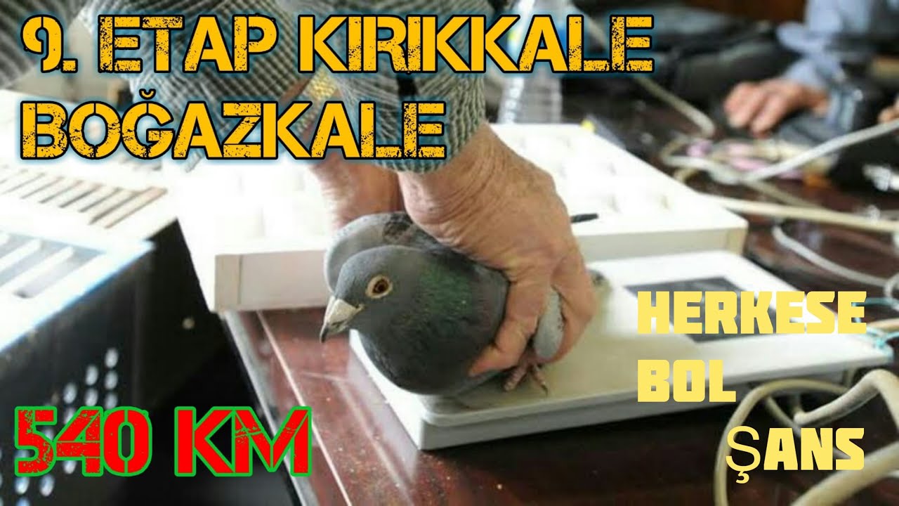 Diyarbakır posta yarışı 9.etap (Kırıkkale Diyarbakır)