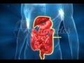 Animation 3d -  Intro Medical animation - Royalty free