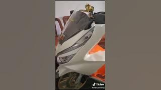 PCX babylook
