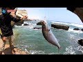 Pesca de grandes lornas con caa y linea de mano  playa el tunel