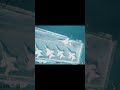 US navy strike group footage by irani drone