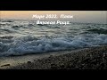 Севастополь 2022  Крым  Пляж Вязовая роща