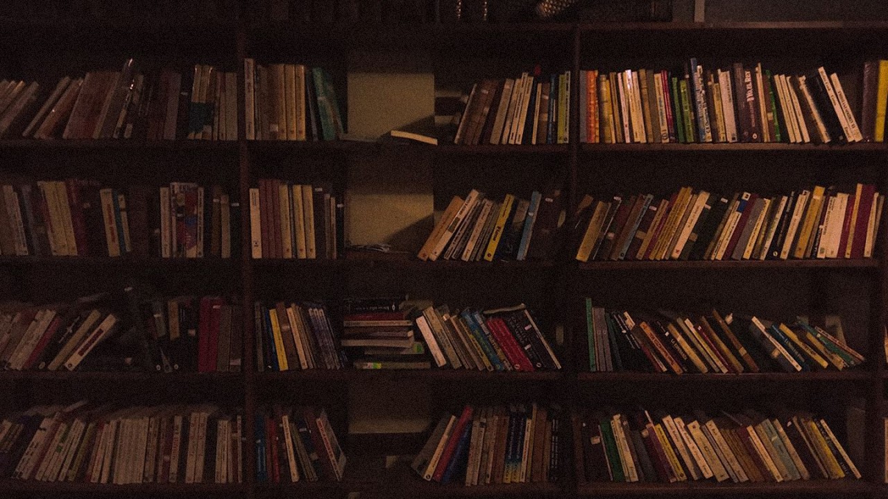 pov: you're alone in an old library at 3am | dark academia study music