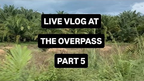 DAILY VLOG | CITY TRAFFIC FROM THE OVERPASS PART 5 #vlog #dailyvlog #city
