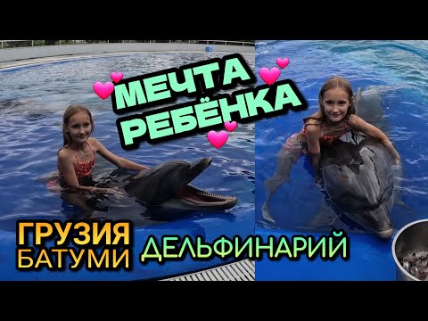 ПЛАВАТЬ С ДЕЛЬФИНАМИ - СБЫЛАСЬ МЕЧТА РЕБЁНКА / Грузия, Батуми, дельфинарий / Июнь 2023