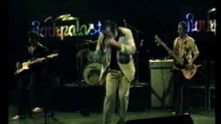 Video thumbnail of "The Fabulous Thunderbirds - Instrumental in "E" - German TV 1980 (Rockpalast)"