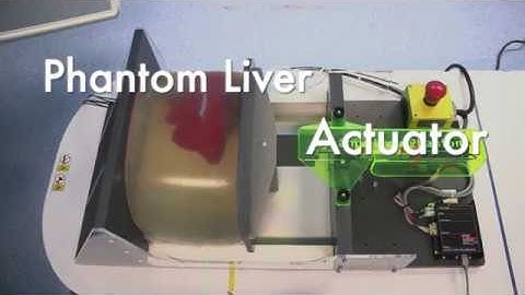 ELPHA: Dynamically deforming liver phantom